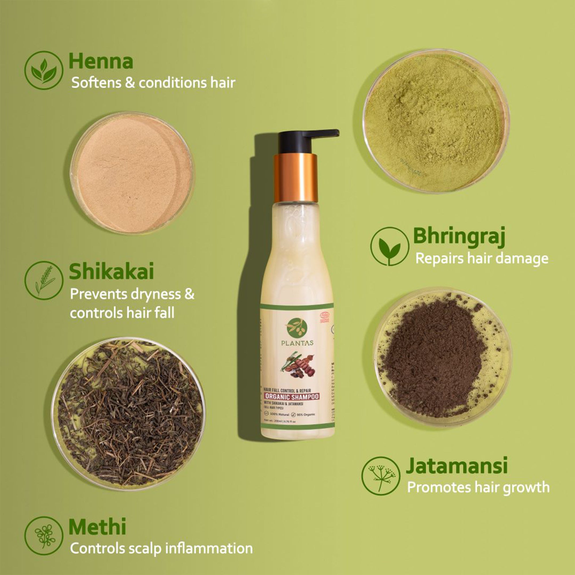 Plantas Organic Shampoo - Hairfall Control and Repair image 2