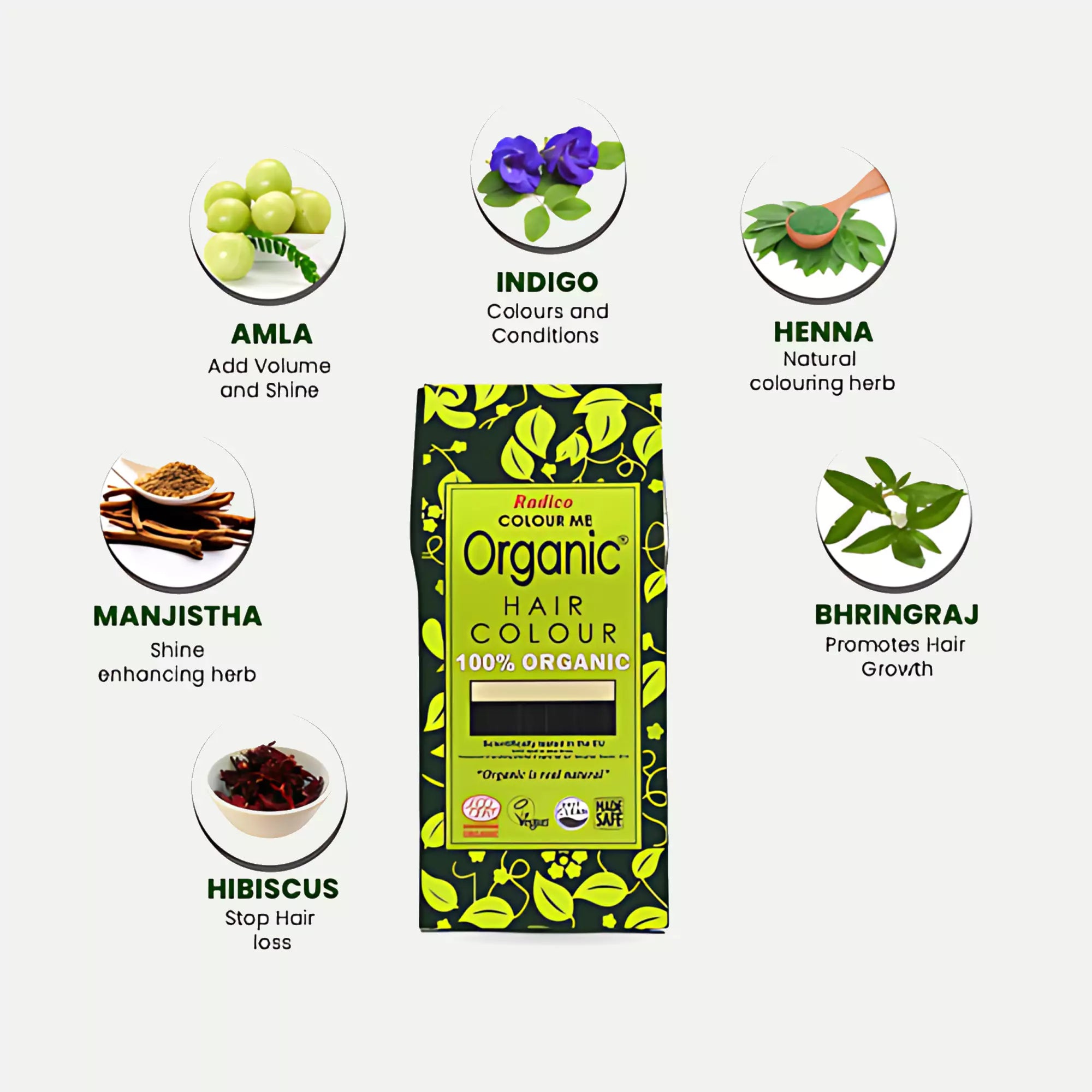 Burgandy - Radico Organic Hair Colour