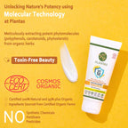 Plantas Sunscreen with SPF 50 image 7