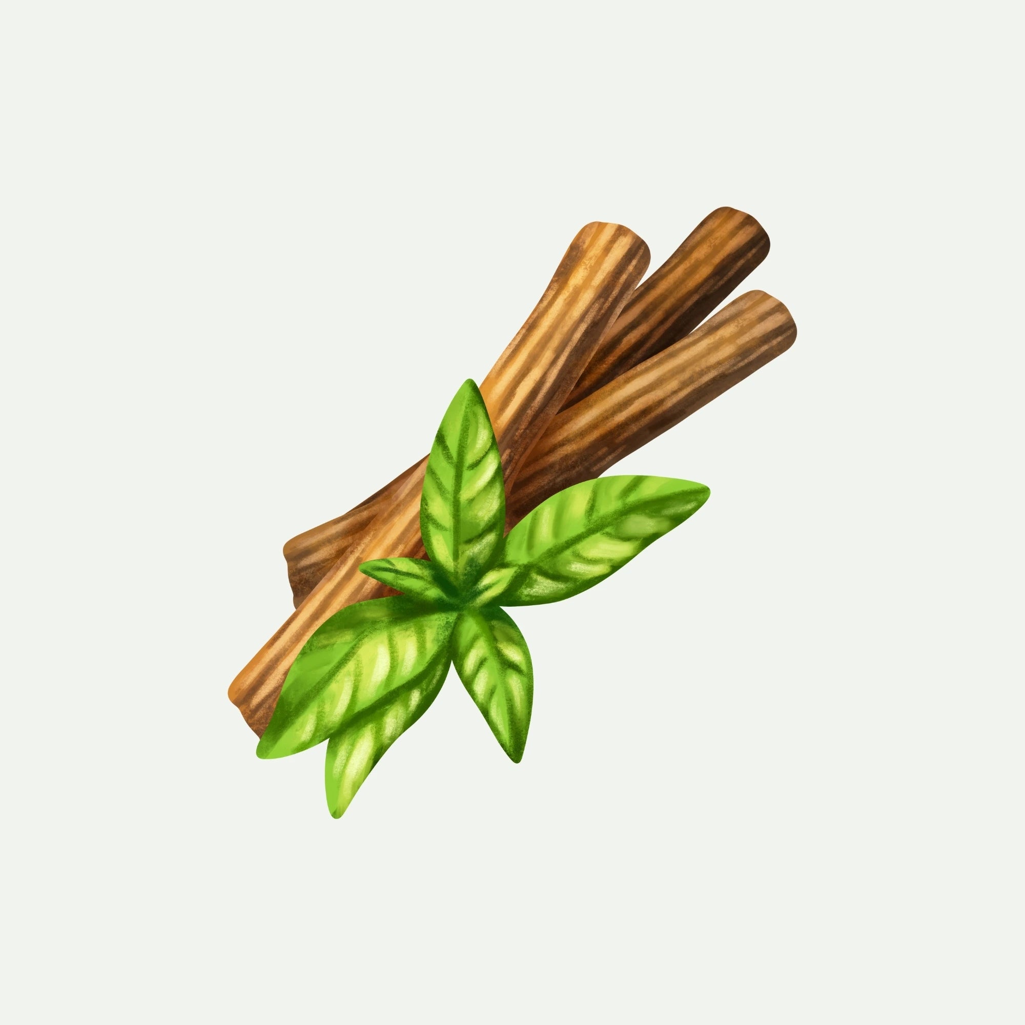 LICORICE EXTRACT